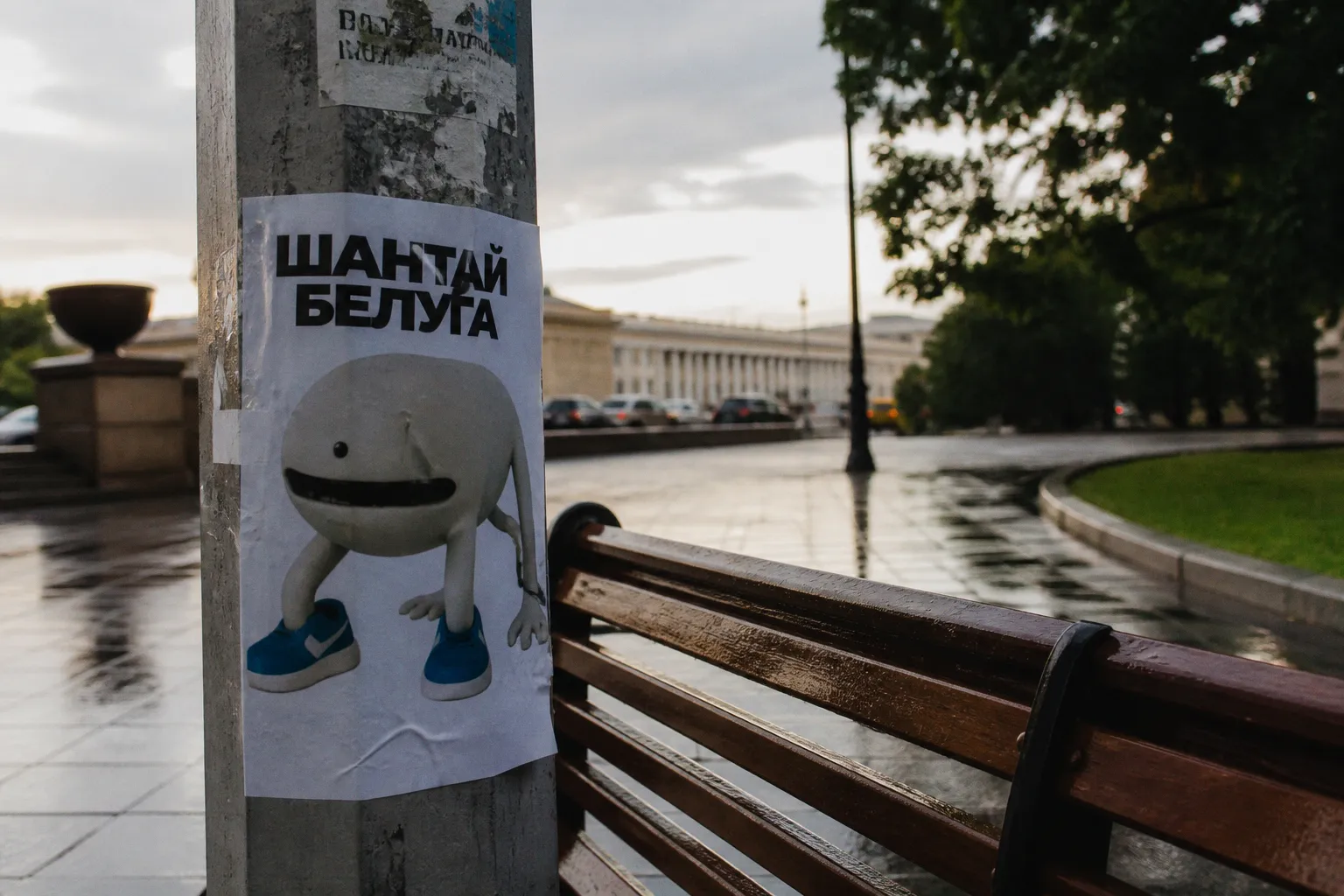Феномен Шантай Белуги: как интернет создал вымышленную звезду из ничего
