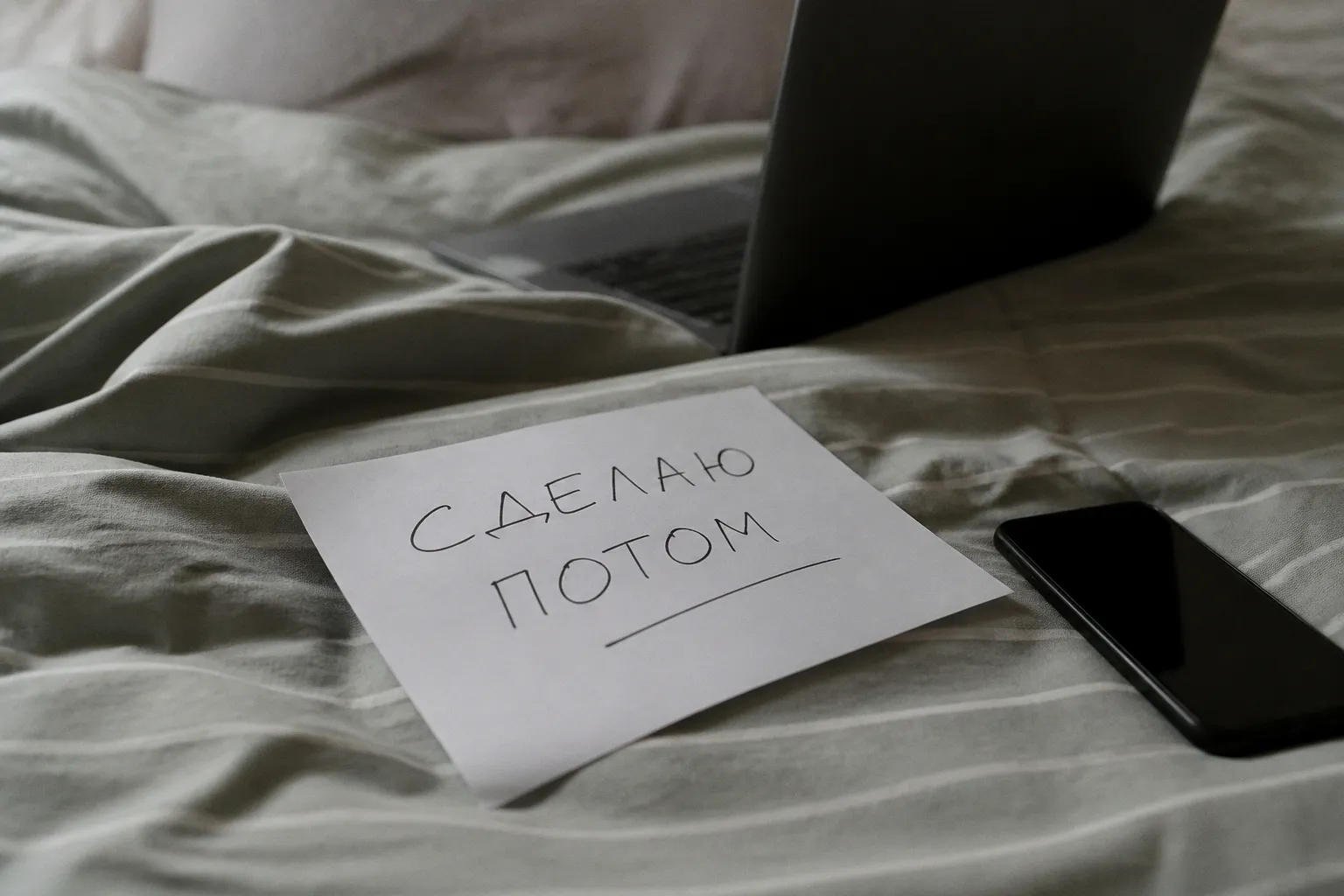 Почему мемы про лень стали главным эмоциональным трендом соцсетей в конце августа
